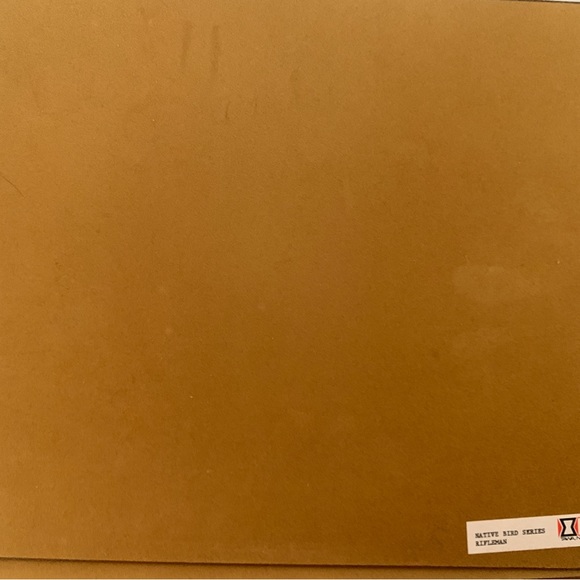 Vintage placemats by Milhurst New Zealand fine art Native Bird Series x 6 - Picture 11 of 14